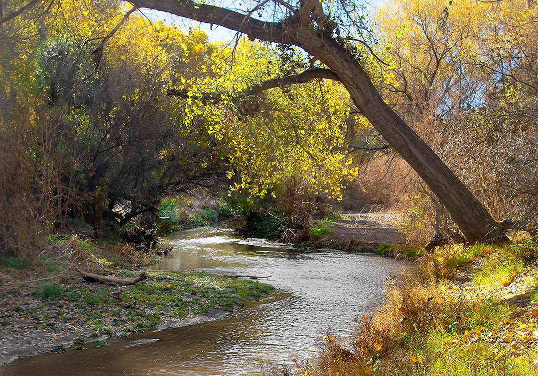 Santa Cruz River Near Tumacácori, Arizona Bob Russman