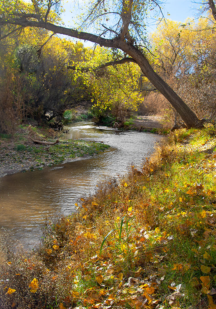 Santa Cruz River Near Tumacácori, Arizona - Bob Russman